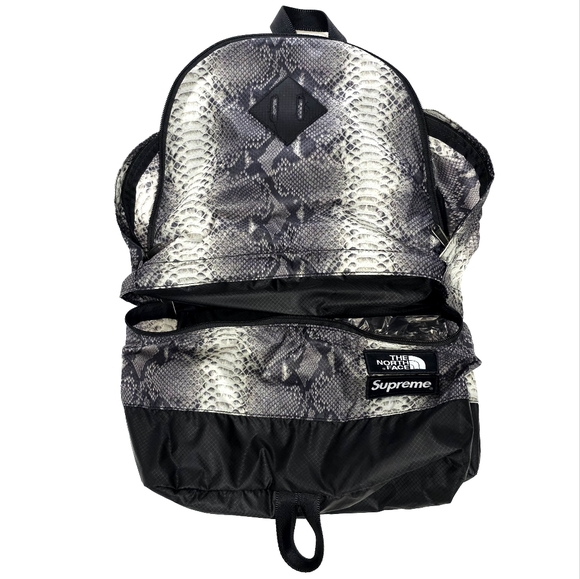 [LIMITED] SUPREME X THE NORTH FACE BACKPACK - Picture 3 of 7